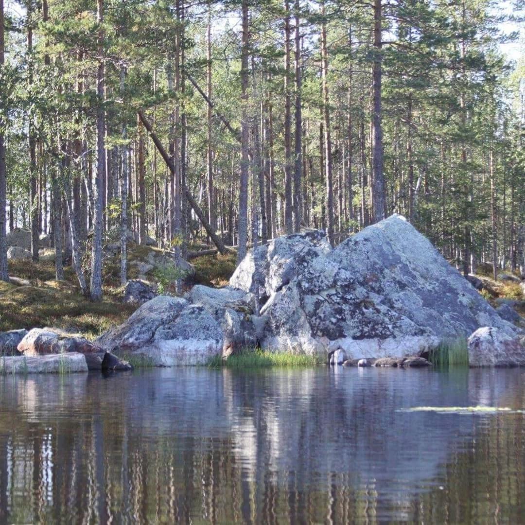 Hamra Stugby - Nature Adventures Hamra Exterior foto
